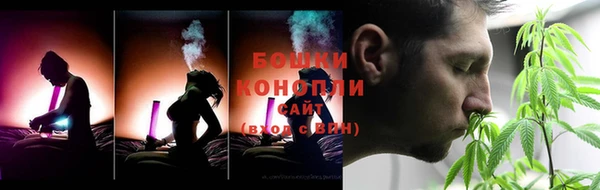 тгк Краснослободск
